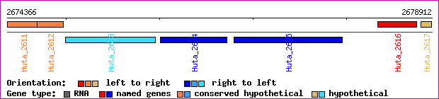 gene map