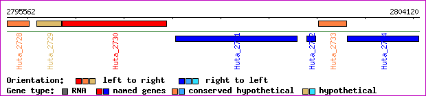 gene map
