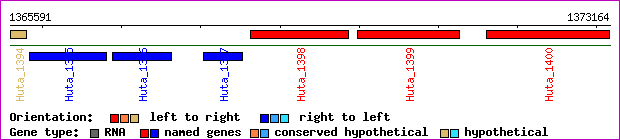 gene map