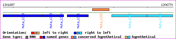gene map