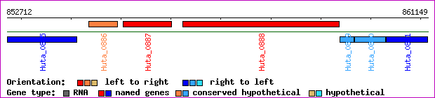 gene map