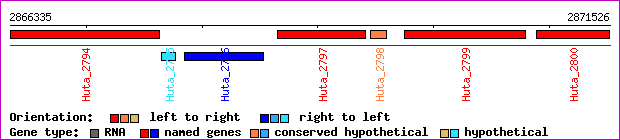 gene map