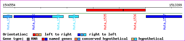 gene map