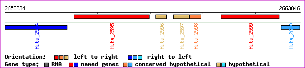 gene map