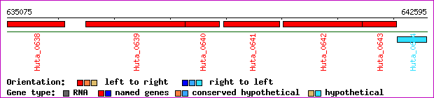 gene map