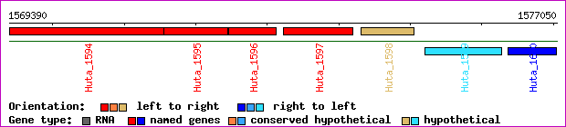 gene map