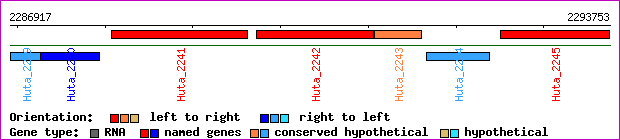 gene map