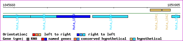 gene map