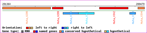 gene map