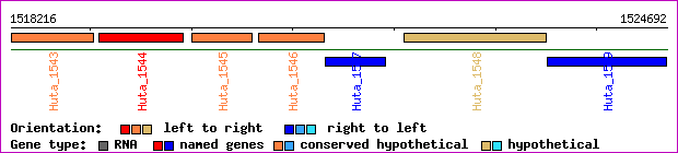 gene map