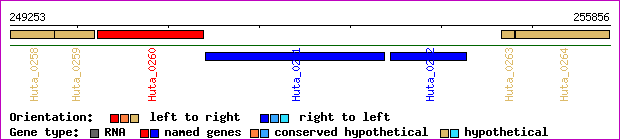 gene map
