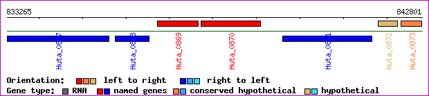 gene map