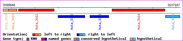 gene map