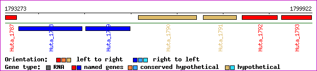 gene map