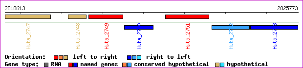 gene map