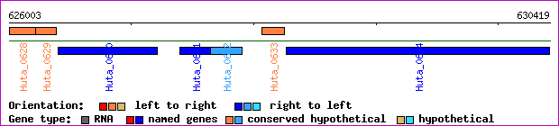gene map