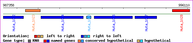 gene map