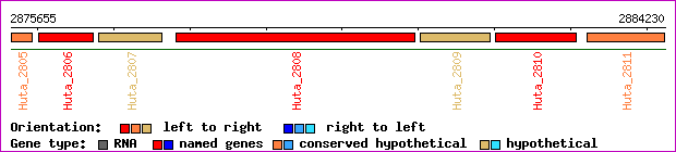 gene map