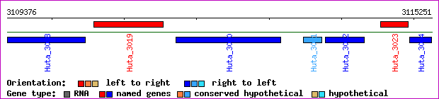 gene map
