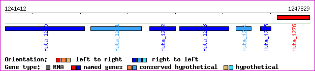 gene map