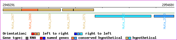 gene map