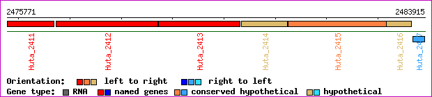 gene map
