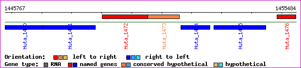 gene map