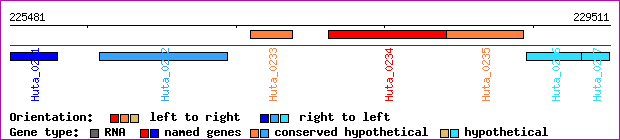 gene map