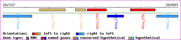 gene map