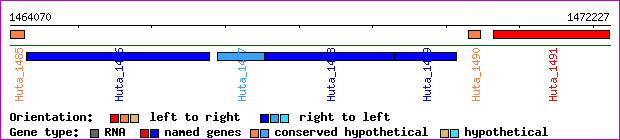 gene map