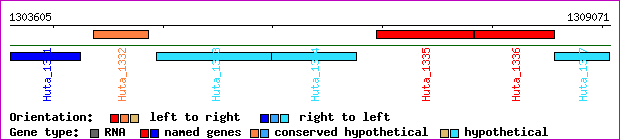 gene map