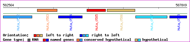 gene map
