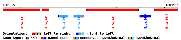 gene map