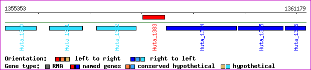 gene map