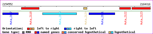 gene map