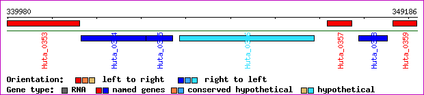 gene map