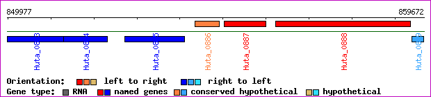 gene map