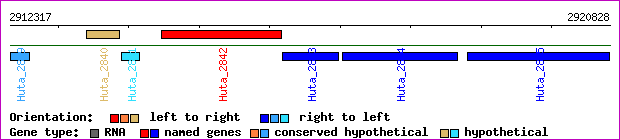 gene map