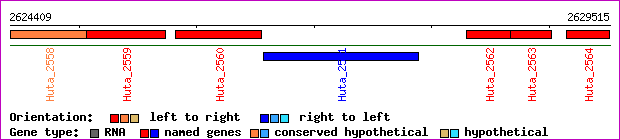 gene map
