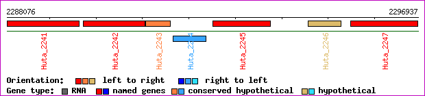 gene map