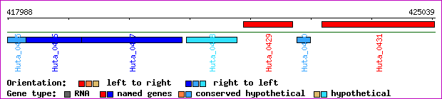 gene map