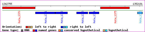 gene map
