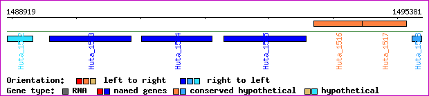 gene map