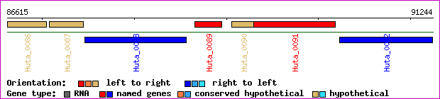 gene map