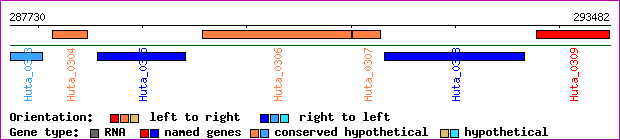 gene map