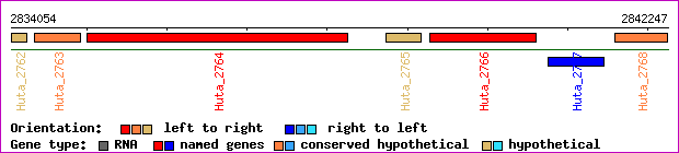gene map