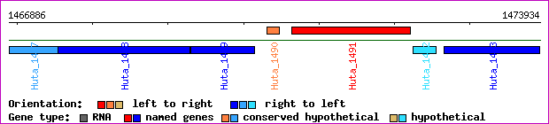 gene map