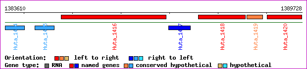 gene map