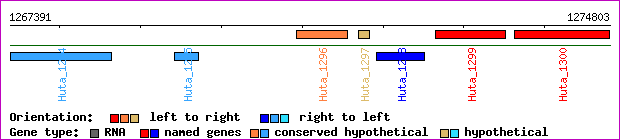 gene map
