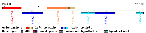 gene map